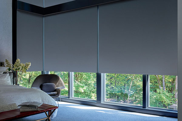 Smart Home and Electronic Shades